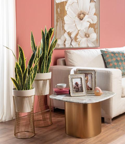 Quadro Magnolia Bianca