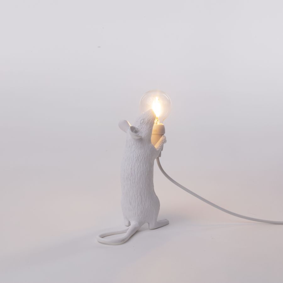 Mouse lamp step standing usb